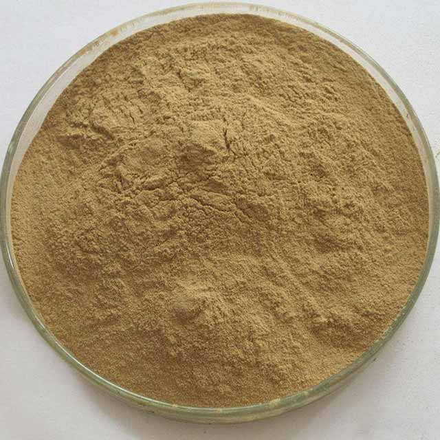 Xanthan Gum